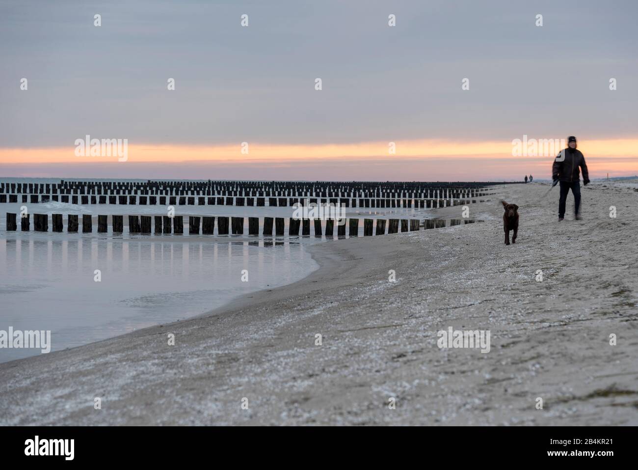Deutschland, Mecklenburg-Vorpommern, Zingst, Kinderwagen mit Hunden am Strand, Sonnenaufgang Stockfoto