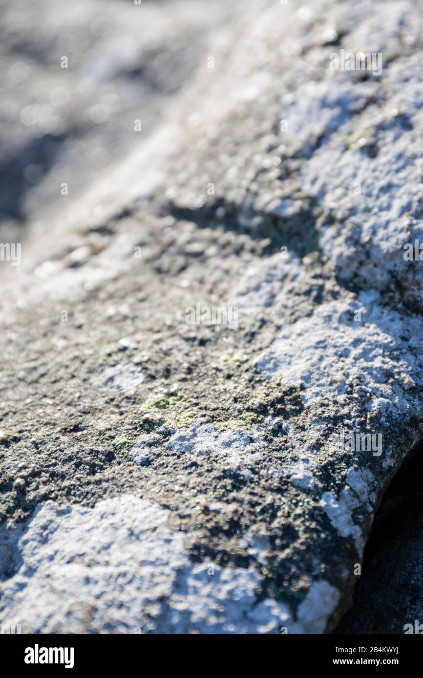 Europa, Dänemark, Bornholm. Oberflächenstruktur und Fleckenbedeckung aus Granit an der Ostküste (bei Randkløve Skår). Stockfoto