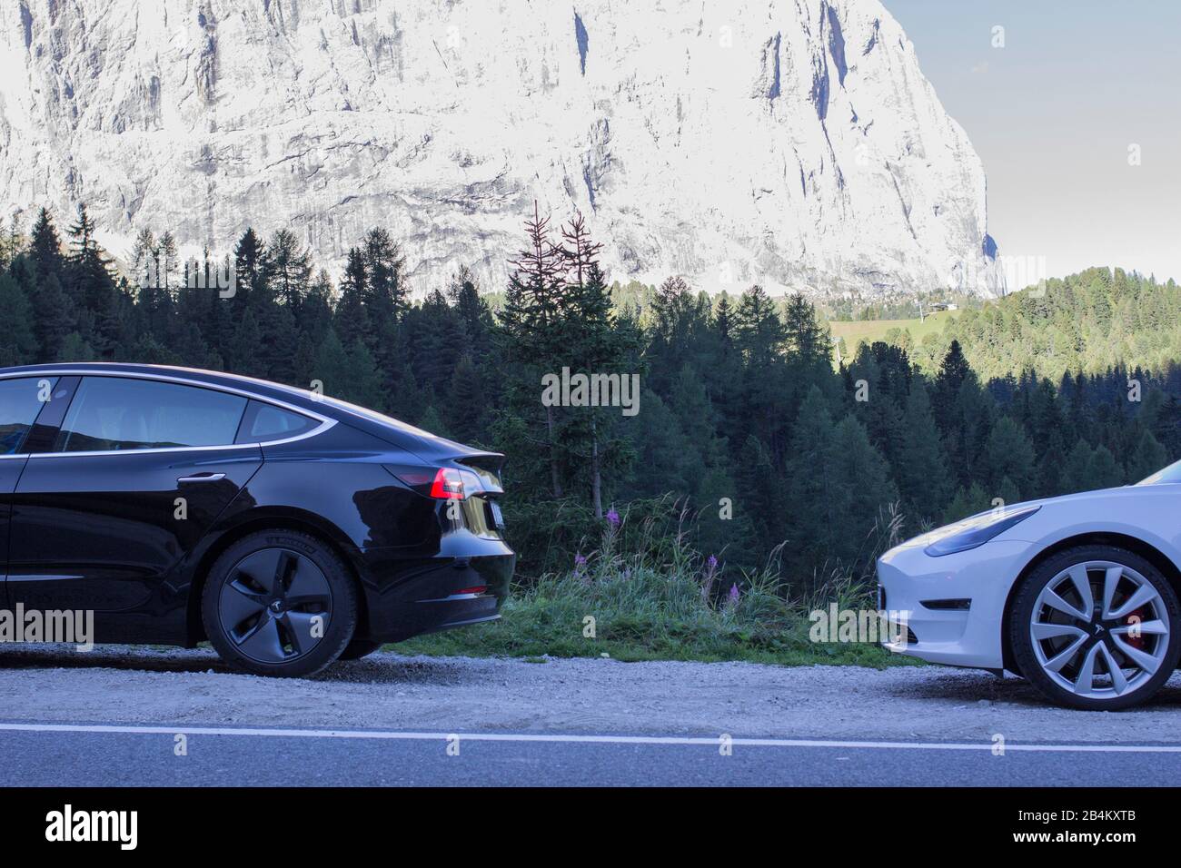 Tesla Model 3 in den Dolden Stockfoto