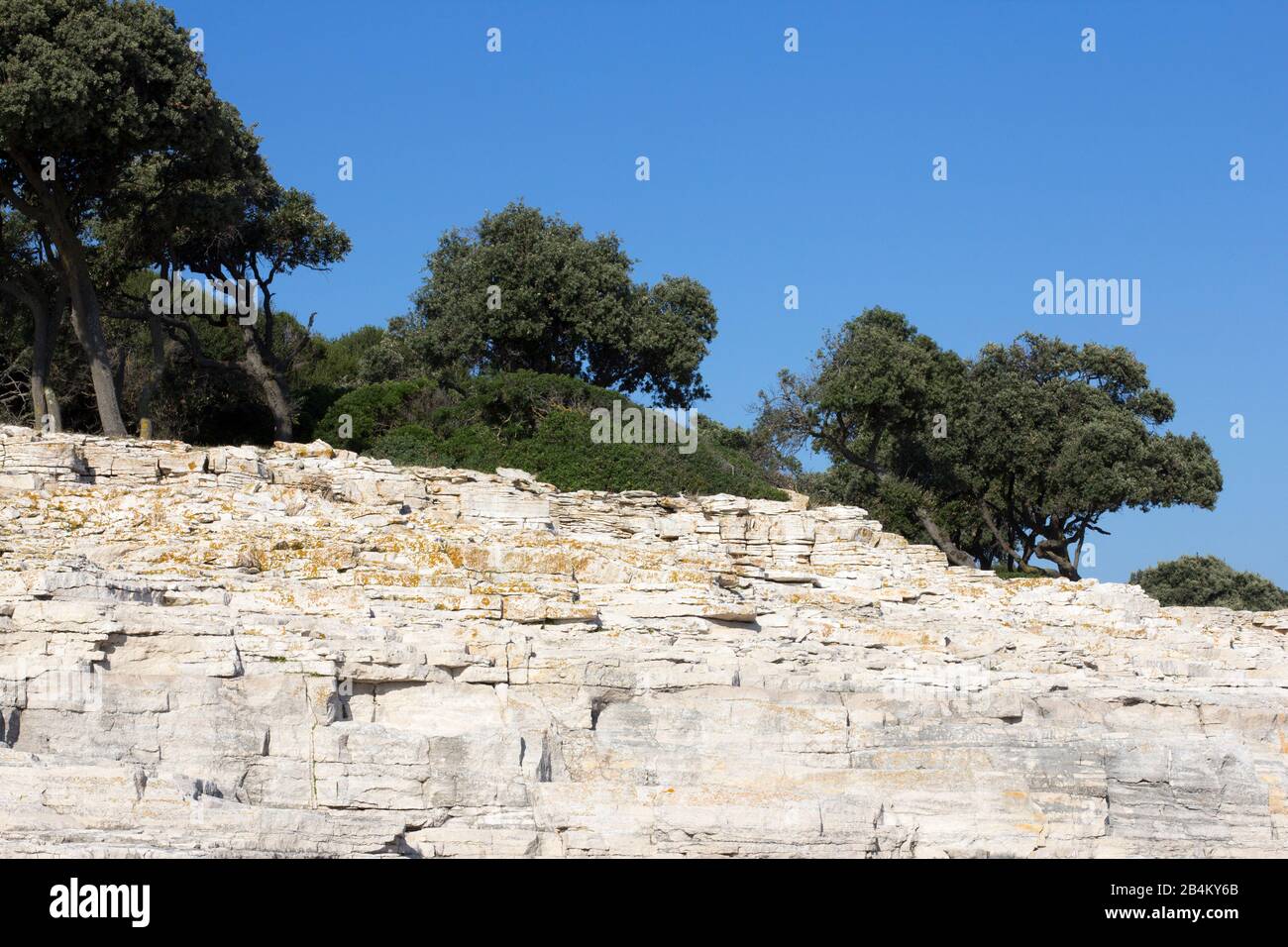 Felsen und Bäume auf Brijuni Stockfoto