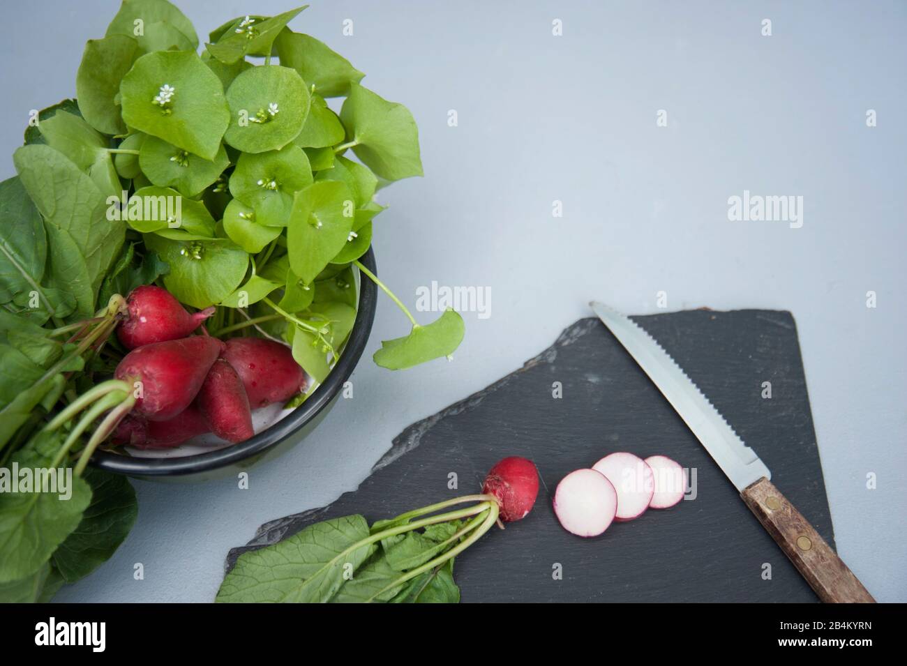 Purer Wintersalat aus dem eigenen Garten Stockfoto