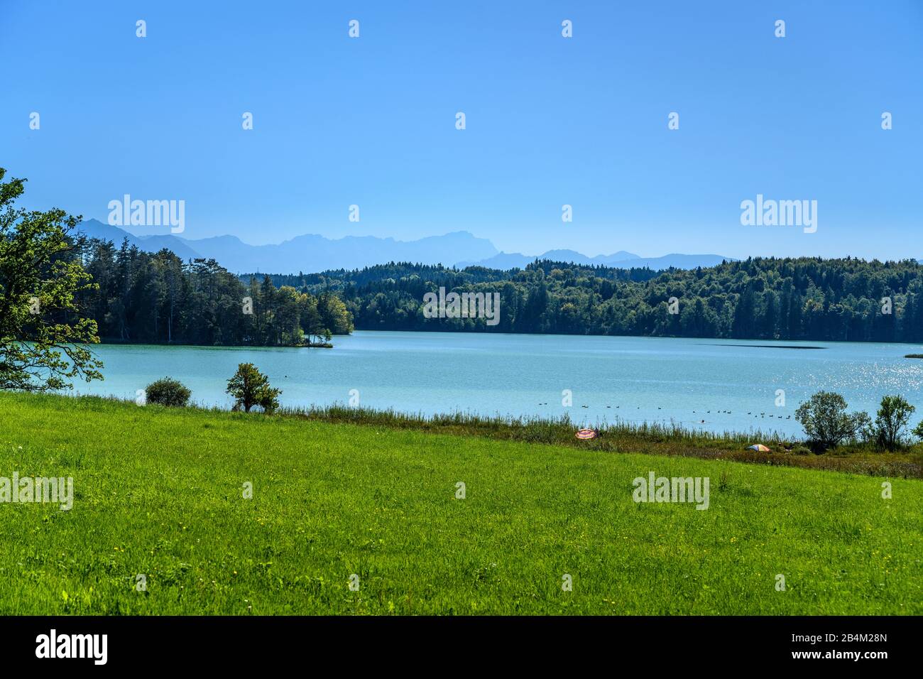 Deutschland, Bayern, Oberbayern, Pfaffenwinkel, Ostersee, Iffeldorf, großer Ostersee, Blick auf gut Aiderbichl gegen Wettersteingebirge Stockfoto
