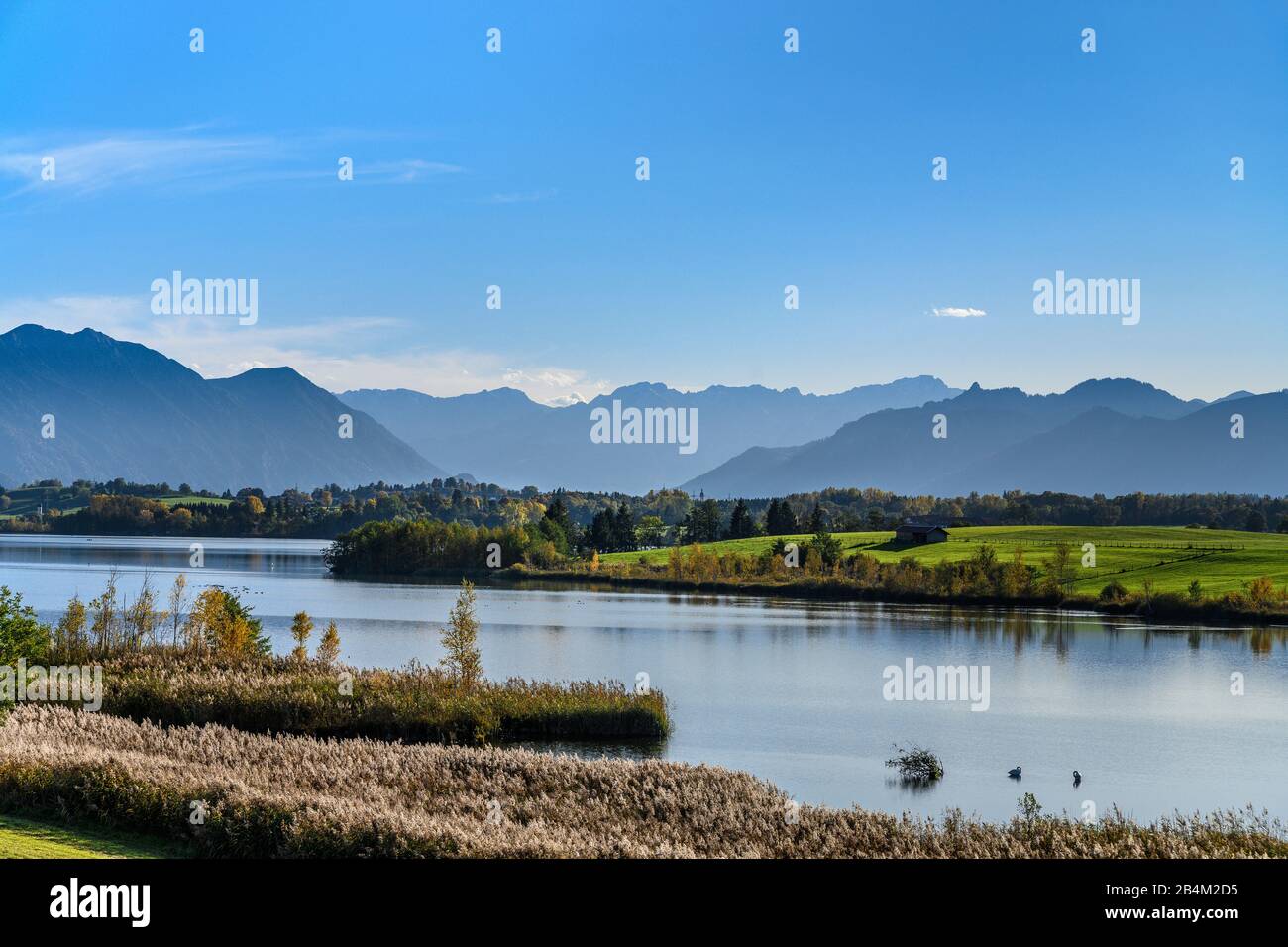 Deutschland, Bayern, Oberbayern, Pfaffenwinkel, Gemeinde Riegsee, Ortsteil Aidling, Riegsee gegen Estergebirge, Wettersteingebirge und Ammergebirge Stockfoto