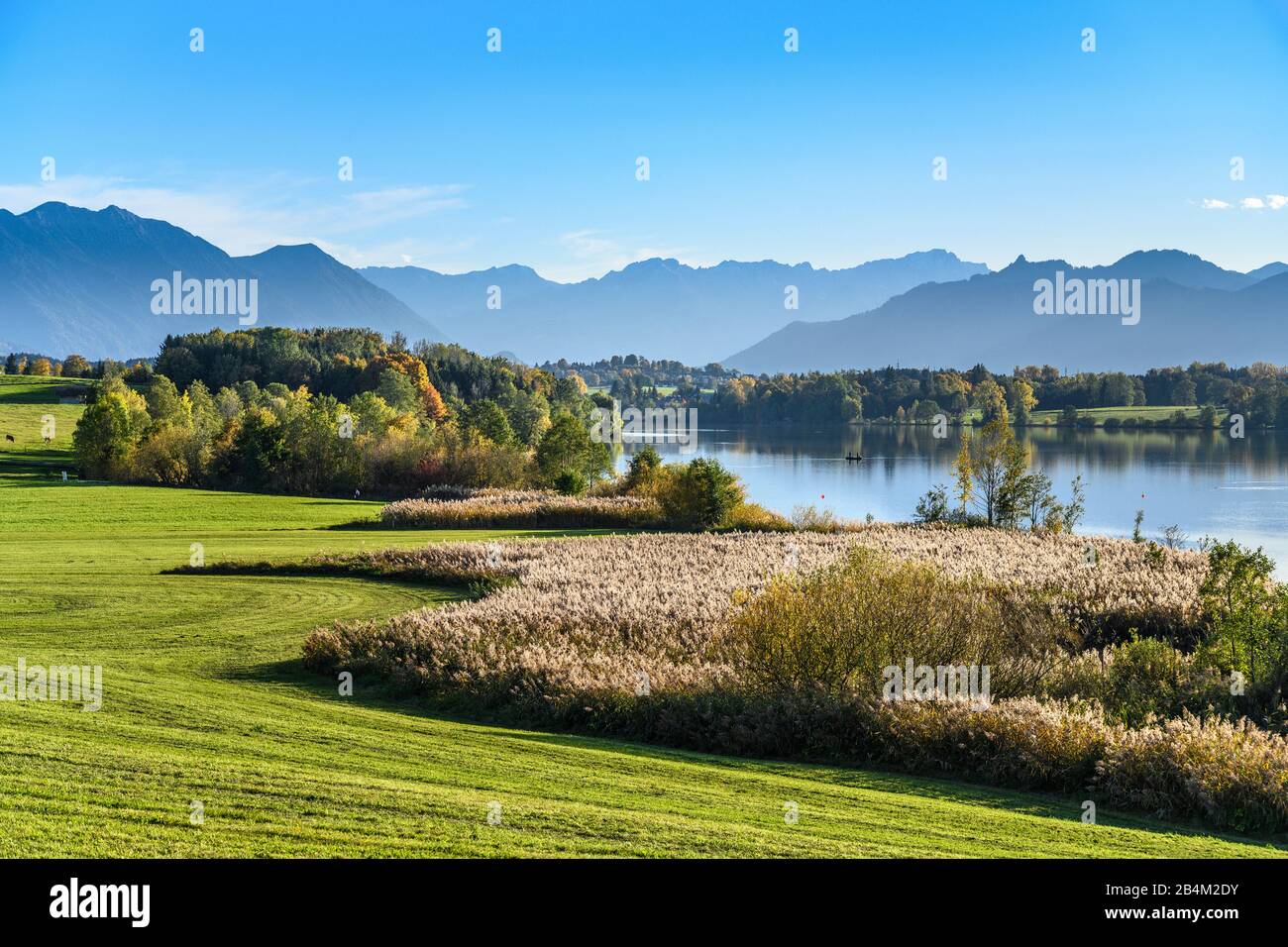 Deutschland, Bayern, Oberbayern, Pfaffenwinkel, Gemeinde Riegsee, Ortsteil Aidling, Riegsee gegen Estergebirge, Wettersteingebirge und Ammergebirge Stockfoto