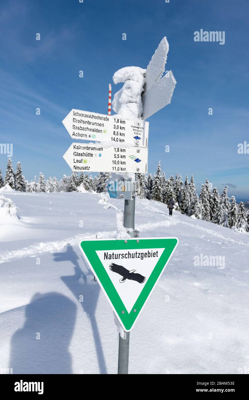 Deutschland, Baden-Württemberg, Schwarzwald, die Hornisgrinde mit 1163 m ist der höchste Berg im nördlichen Schwarzwald. Wegweiser im Sumpf. Stockfoto
