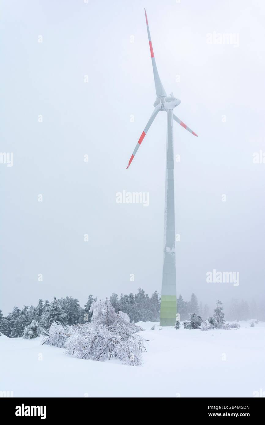 Deutschland, Baden-Württemberg, Schwarzwald, Windrad auf der Hornisgrinde. Stockfoto