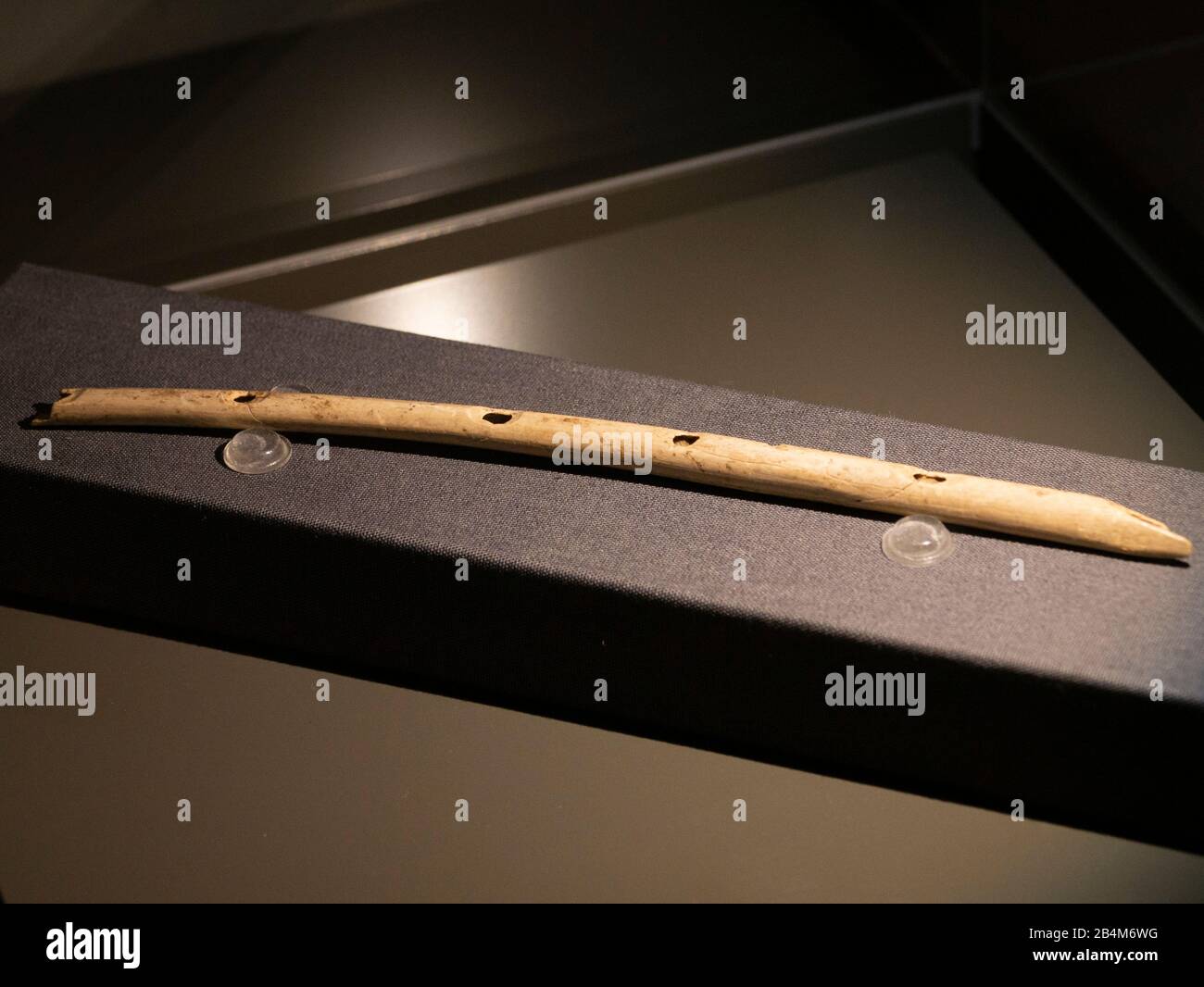 Elfenbeinpersonal, Flöte, 38.000 Jahre alt, Museum für Vorgeschichte, UNESCO-Welterbe, Blaubeuren, Baden-Württemberg, Deutschland Stockfoto