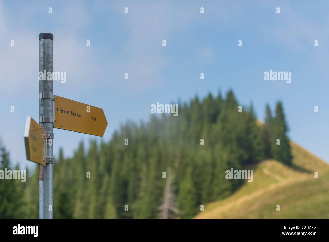 Sommer in Bayern. Eindrücke aus dem Alpenvorland: Bergwanderung auf der Hörnle. Wegweiser zum hinteren Hörnle. Stockfoto