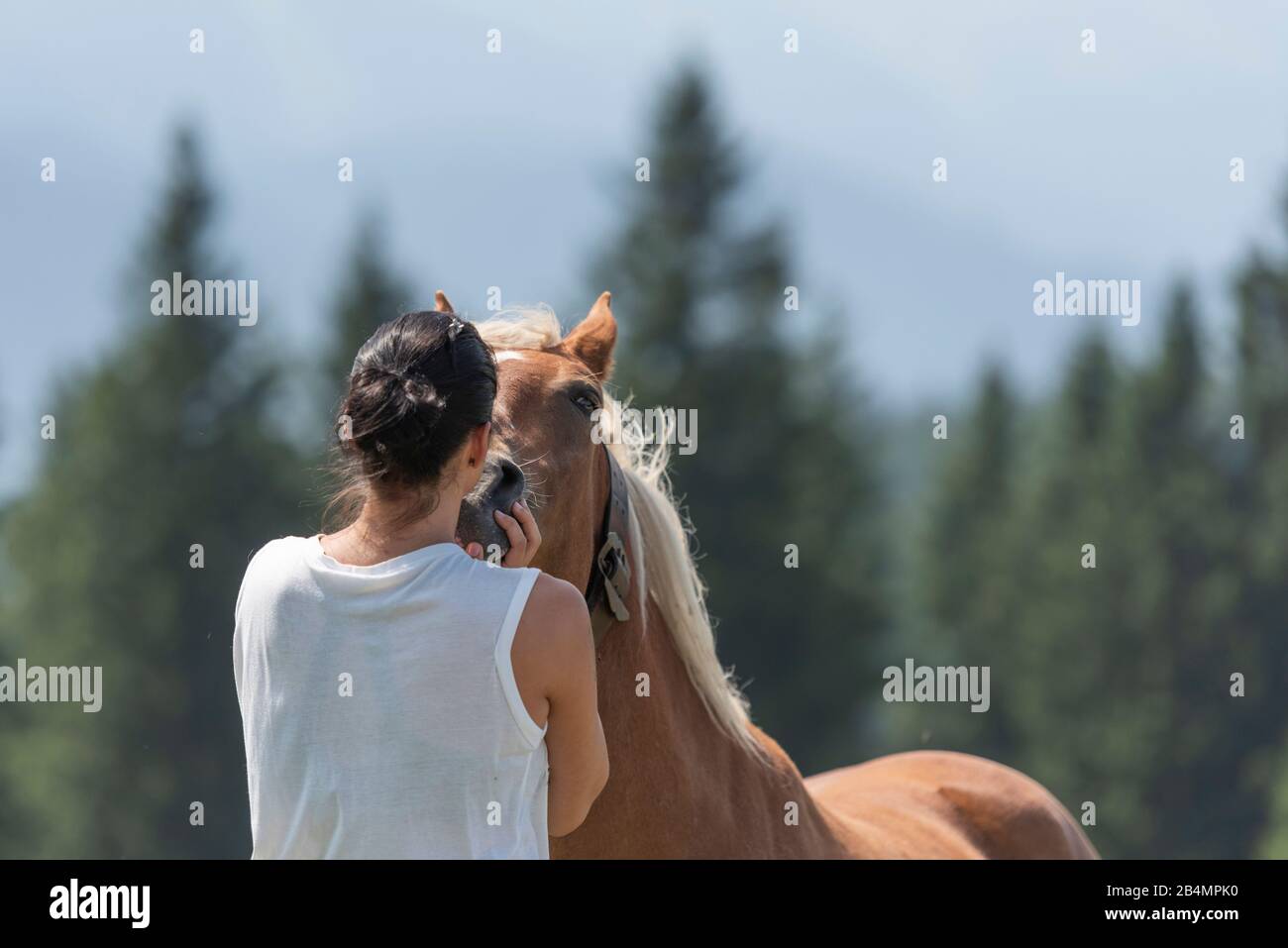 Sommer in Bayern. Eindrücke aus dem Alpenvorland: Bergwanderung auf der Hörnle. Junge Frau streichelt ein freilaufendes Pferd. Stockfoto
