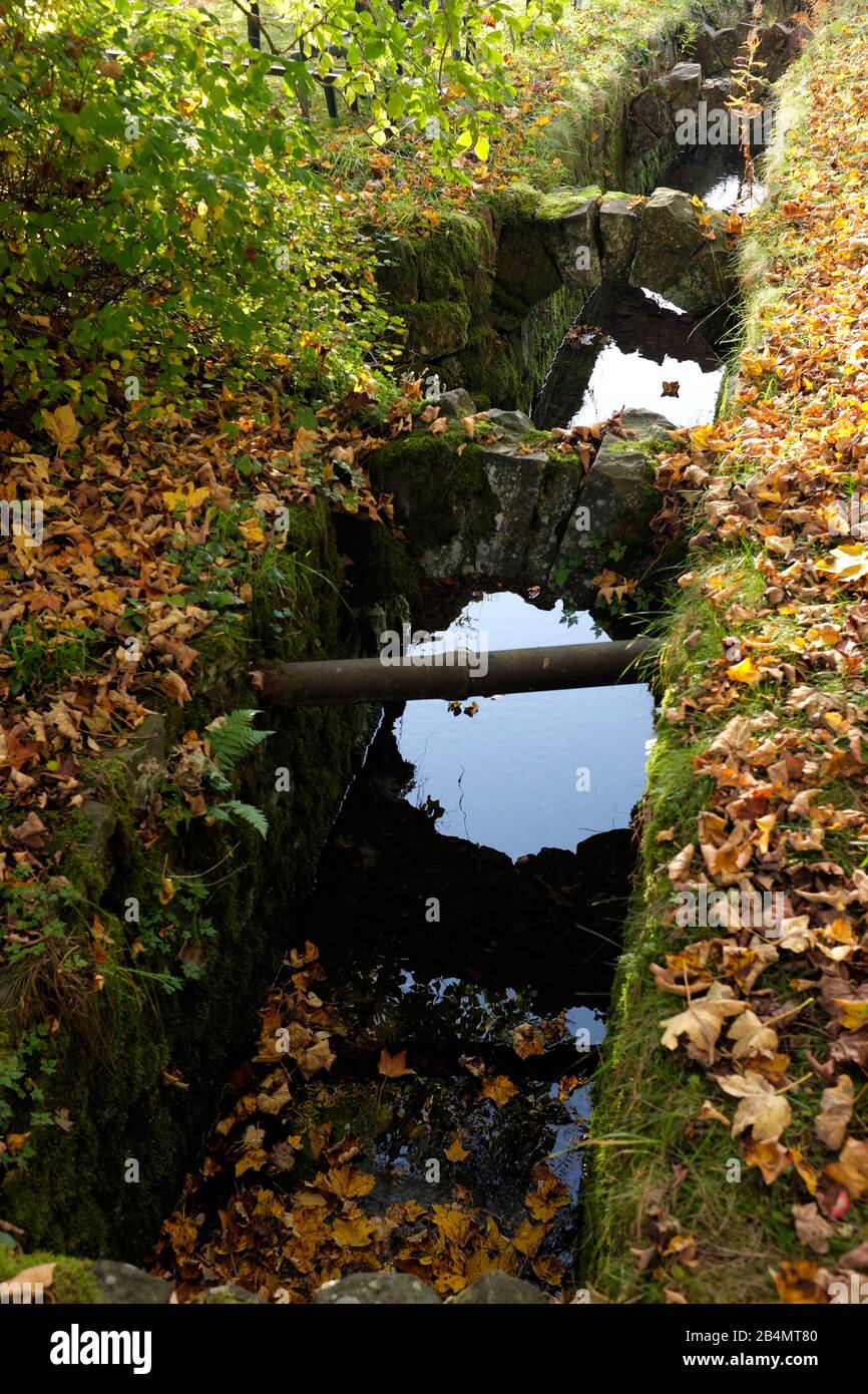 Wandern im Harz; Kanal, Herbst Stockfoto