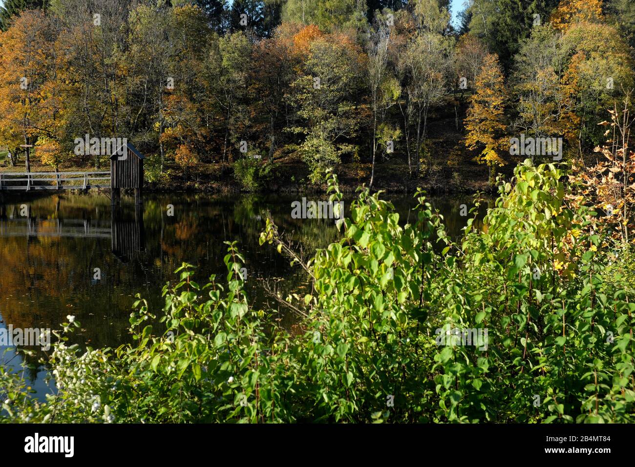 Wandern im Harz Stockfoto