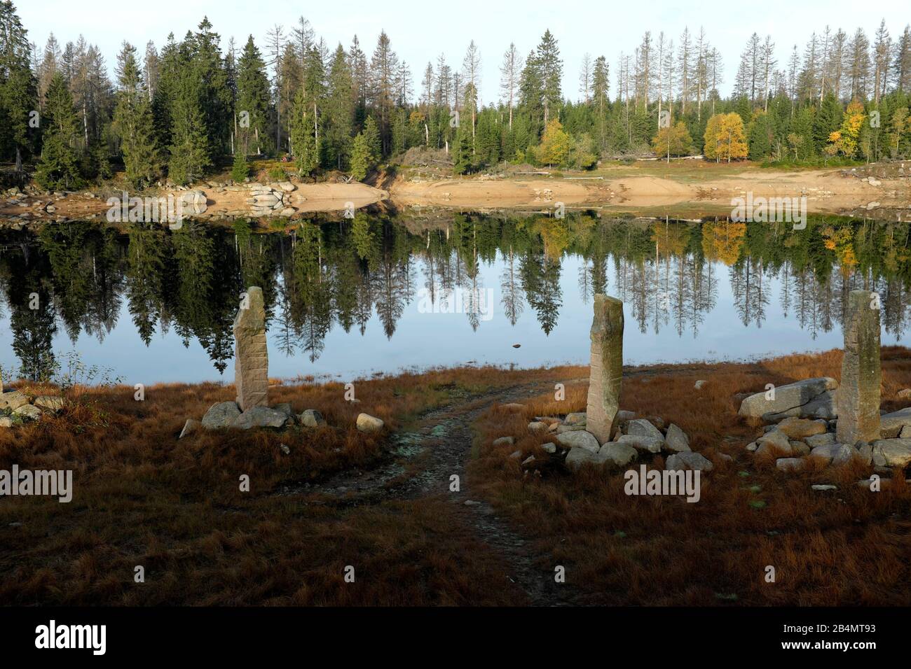 Wandern im Harz am Oderteich Stockfoto