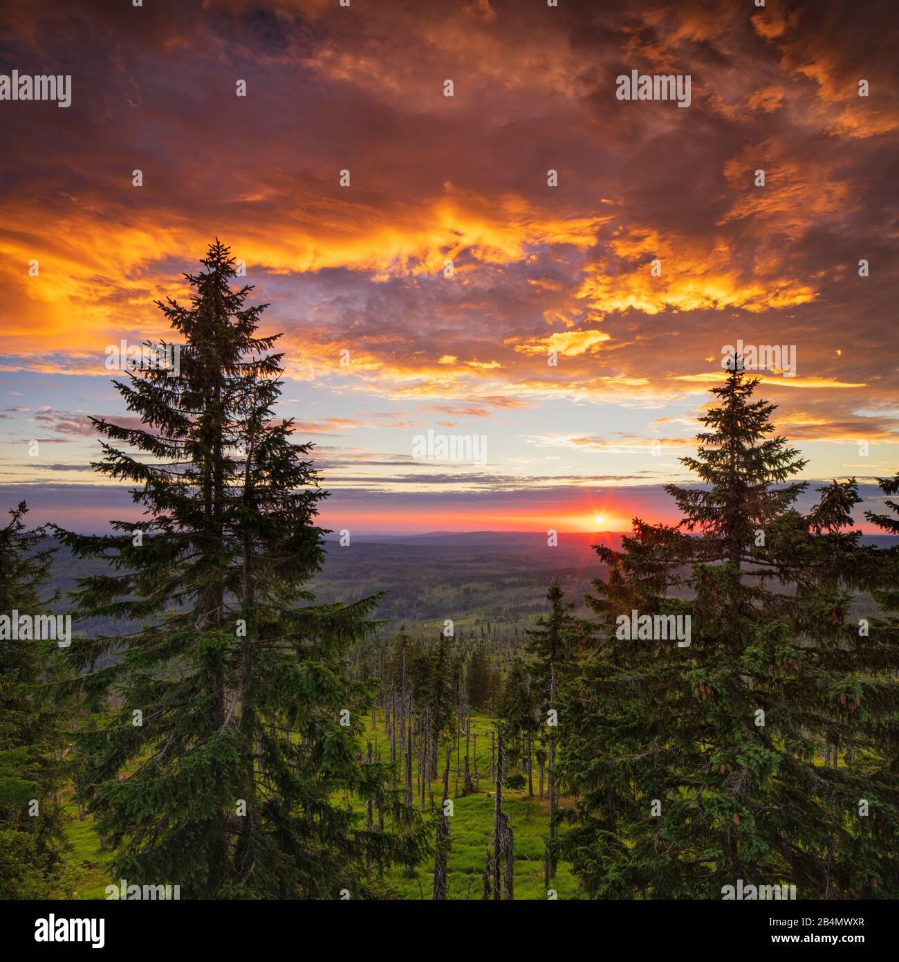 Deutschland, Bayern, Nationalpark Bayerischer Wald, Blick vom Gipfel großer Rachel bei Sonnenaufgang Stockfoto