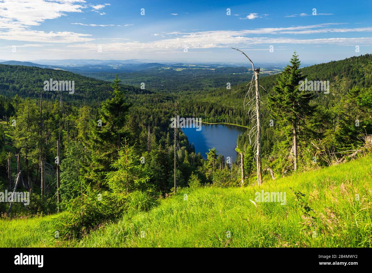 Deutschland, Bayern, Nationalpark Bayerischer Wald, Blick auf den Rachelsee Stockfoto