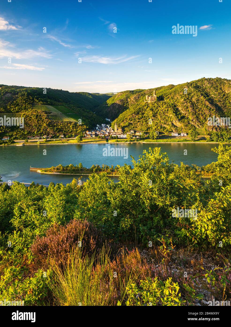 Deutschland, Rheinland-Pfalz, St. Goarshausen, Welterbe-Kulturlandschaft Oberes Mittelrheintal, Blick über den Rhein nach Wellmich mit Schloss Maus Stockfoto
