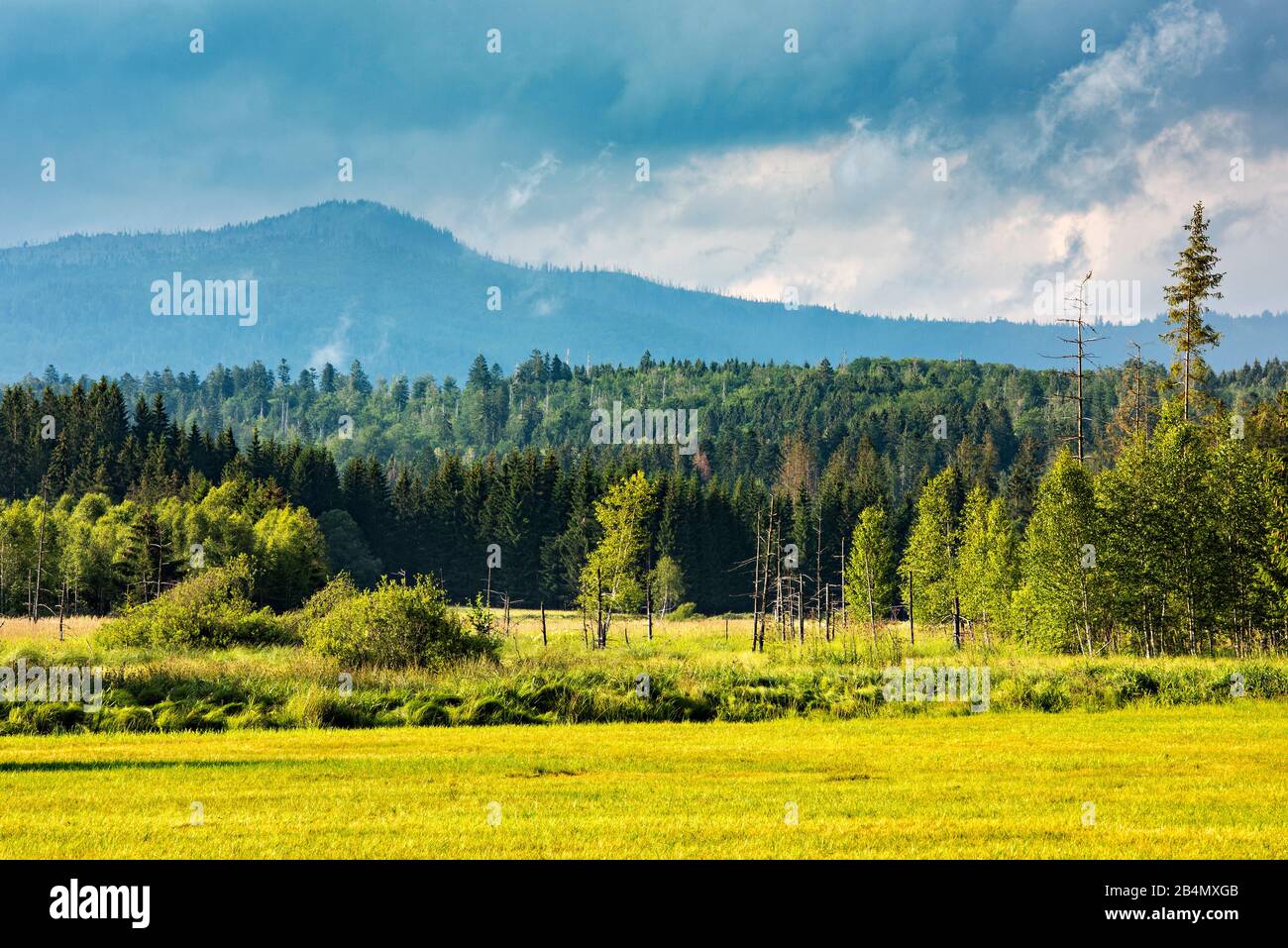 Deutschland, Bayern, Nationalpark Bayerischer Wald, Blick über nasse Wiese und das Moorgebiet zu Großer Rachel, dramatische Wolken Stockfoto