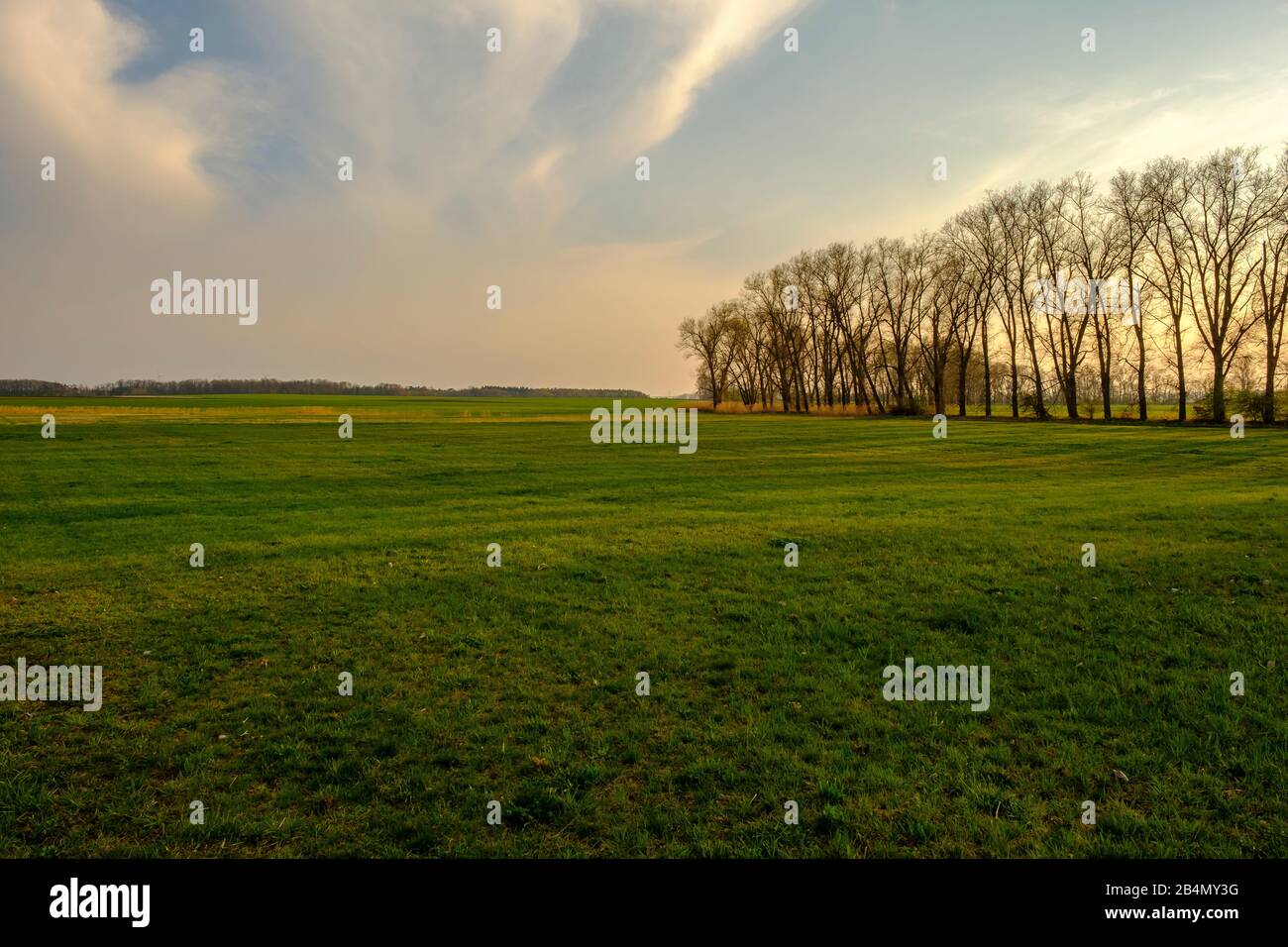 Abend im Naturschutzgebiet Sulzheimer Gipshügel, Landkreis Schweinfurt, Unterfranken, Bayern, Deutschland Stockfoto