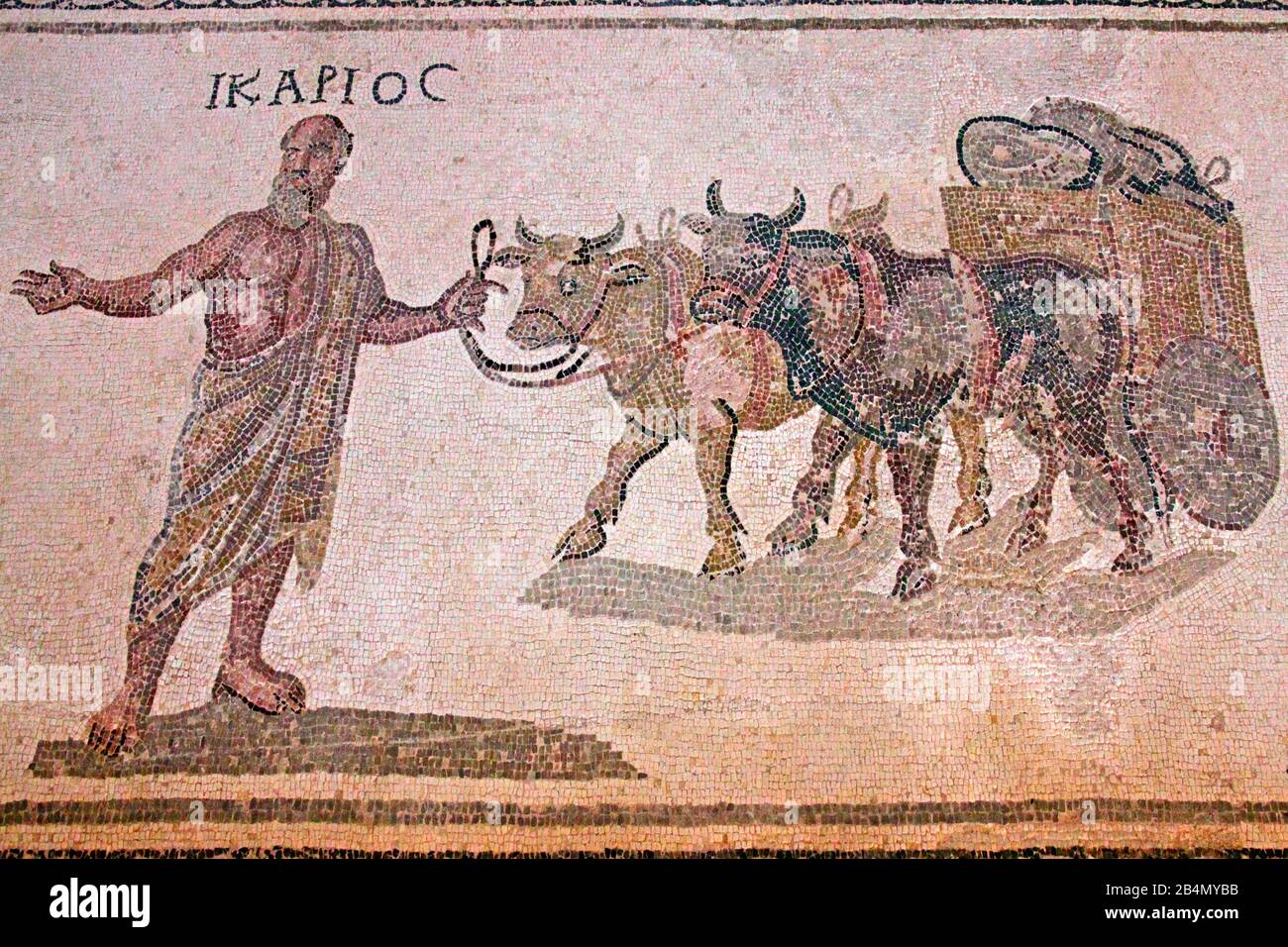 Paphos, Archäologischer Park, Haus des Dionysos, Ikarios wird von einem Team von Ochsen angeführt, die eine Karre mit Weinröhren ziehen. Zypern, griechische Teil Stockfoto