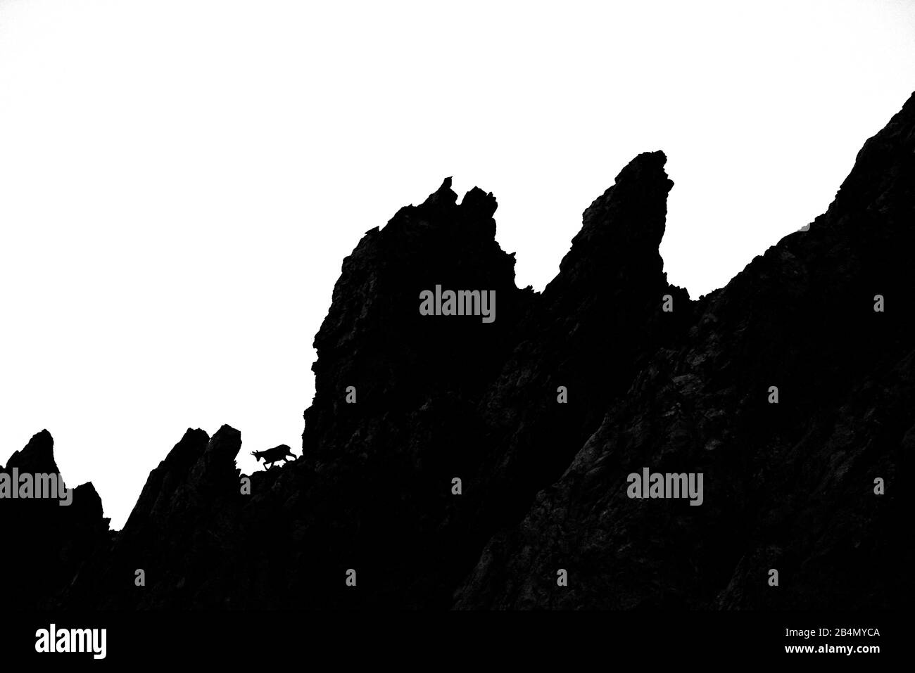 Über dem Betrachter spaziert eine Gesimse zwischen den zerklüfteten Felsen des Karwendelgebirges, nur Diagramme sind sichtbar Stockfoto