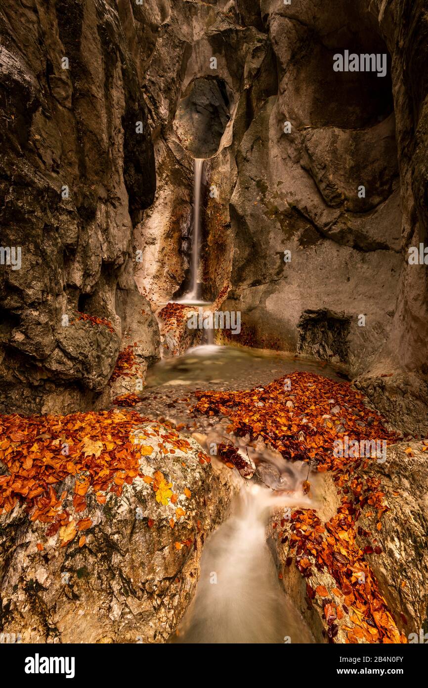 Ein kleiner Bach auf dem Kesselberg bei Kochel am See mit einem Durchbruch im Felsen und Wasserfall im Herbst. Stockfoto