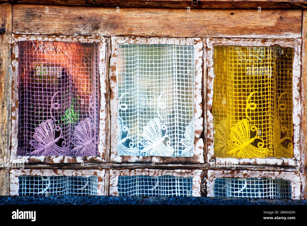 Vorhänge mit Schmetterlingsmotiv hinter farbigen Fensterscheiben. Beaumont-en-Auge im Département Calvados in der Region Normandie Stockfoto