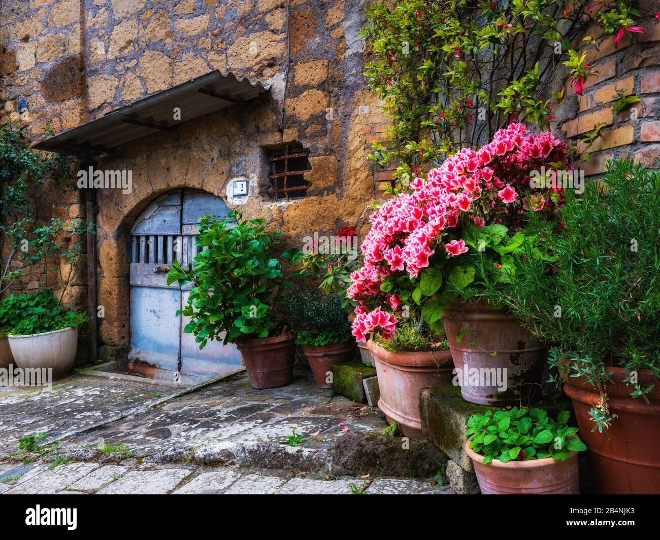 Sorano, Toskana, Italien, Altstadtallee mit Blumenarrangements vor einem Eingang Stockfoto