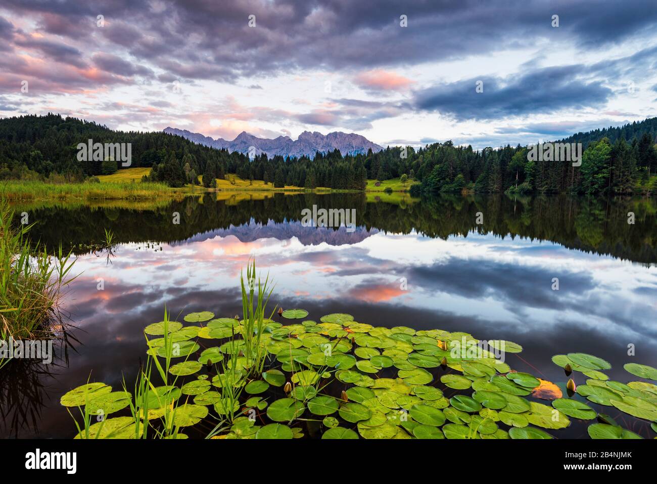 Geroldsee, Karwendel, Bayern, Deutschland, Seerosenblätter im Vordergrund, im Hintergrund Karwendelberge Stockfoto