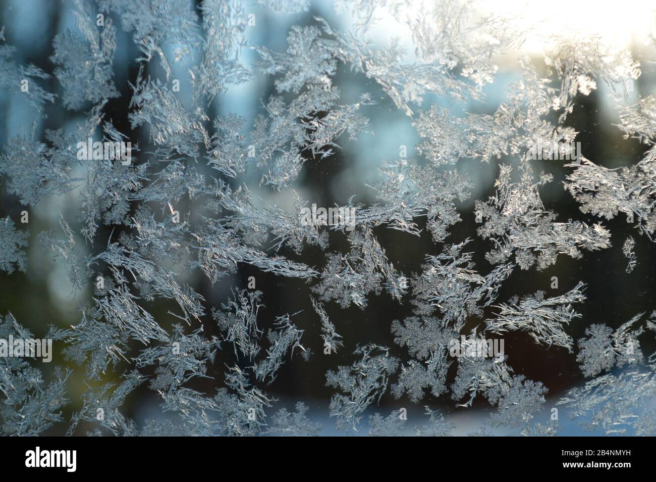 Frostkristalle sammeln sich an der Autoscheibe an Stockfoto