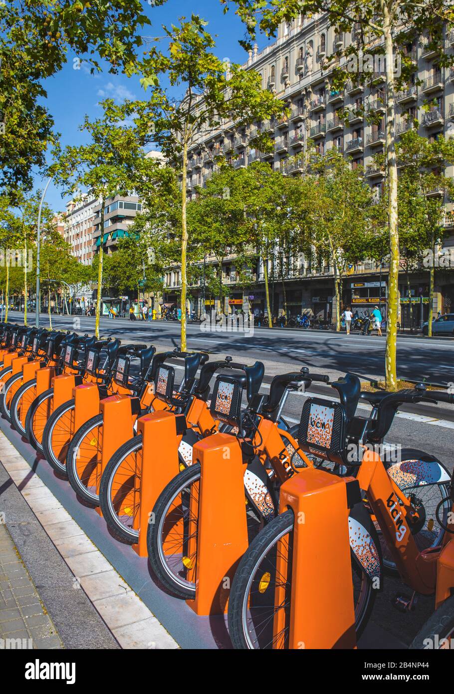 Spanien, Katalonien, Barcelona City, Verkehr, Umkicles Stockfoto