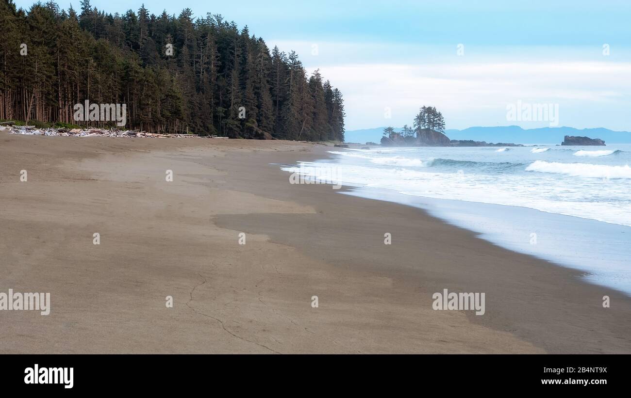 Wunderschöner Strand auf dem West Coast Trail von Vancouver Island, British Columbia, Kanada. Stockfoto