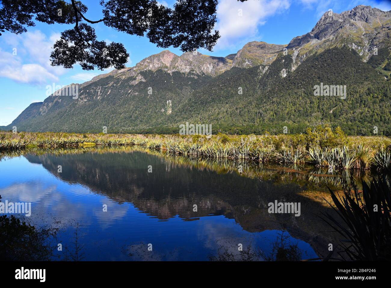 Spiegelsee, te anau, neuer Zealnd Stockfoto