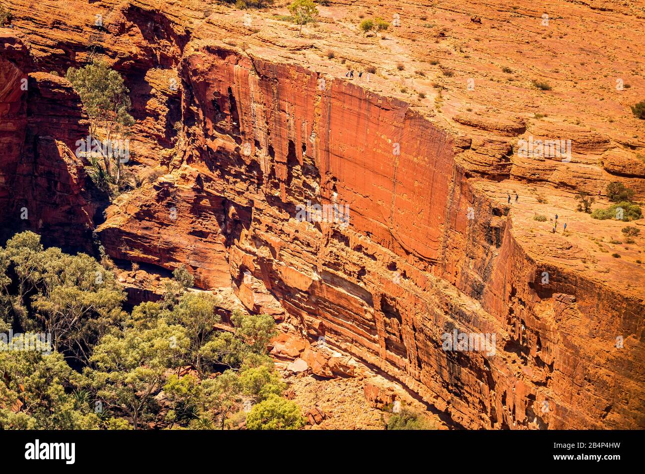 Die gigantische Randwand des Kings Canyon und Wanderer zeigen die Größe und das Ausmaß der Canyonwand. Northern Territory, Australien Stockfoto