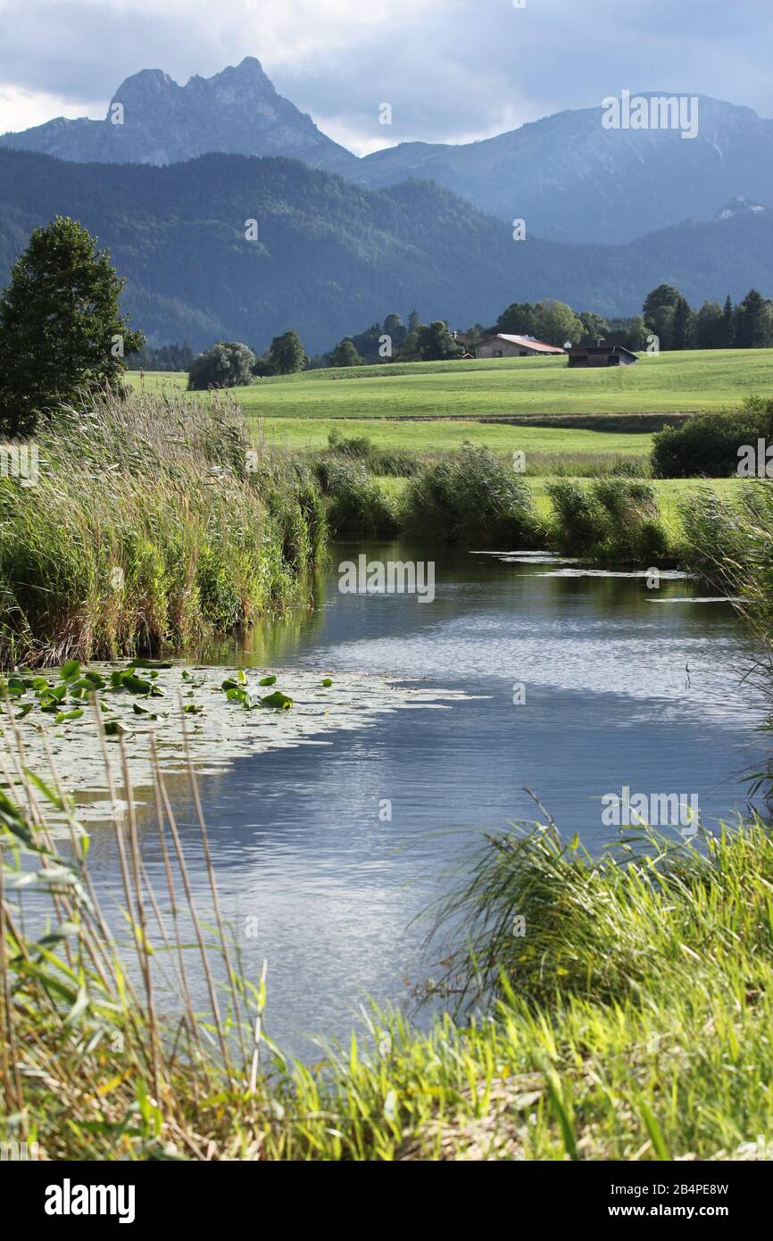 Kleiner Fluss mit Schilf vor den Bayerischen Alpen Stockfoto