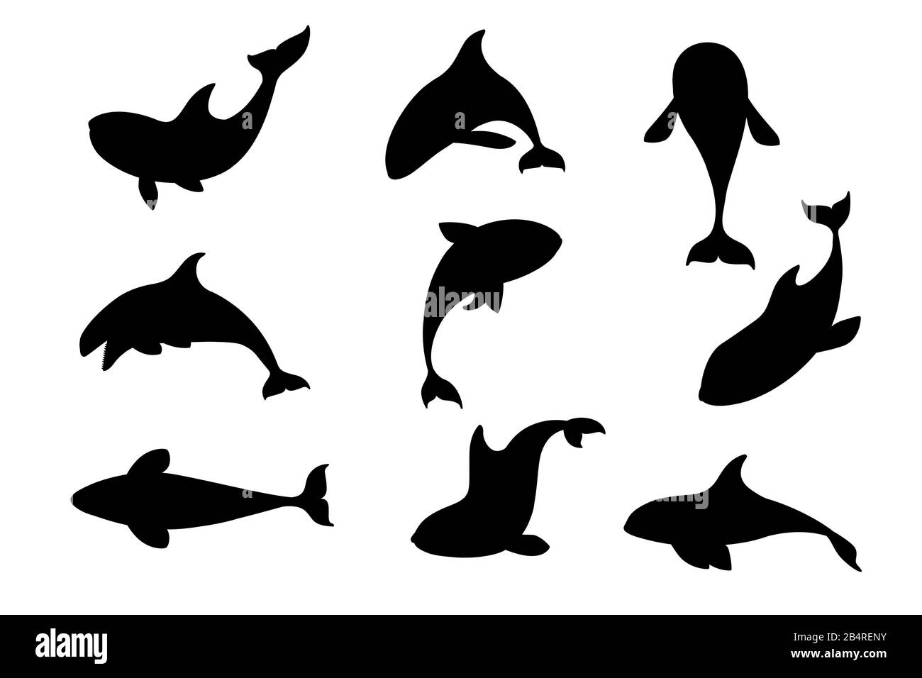 Schwarze Silhouette Set aus Killerwal (Orcinus Orca) Cartoon Tierdesign Ocean Mammal Orca flache Vektorgrafiken isoliert auf weißem Hintergrund. Stock Vektor