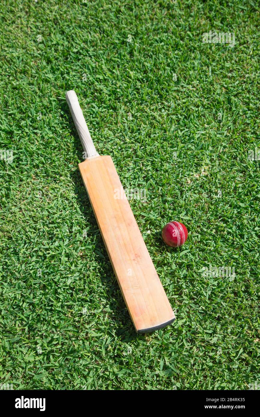 Cricketschläger und roter Lederball auf grünem Gras Stockfoto