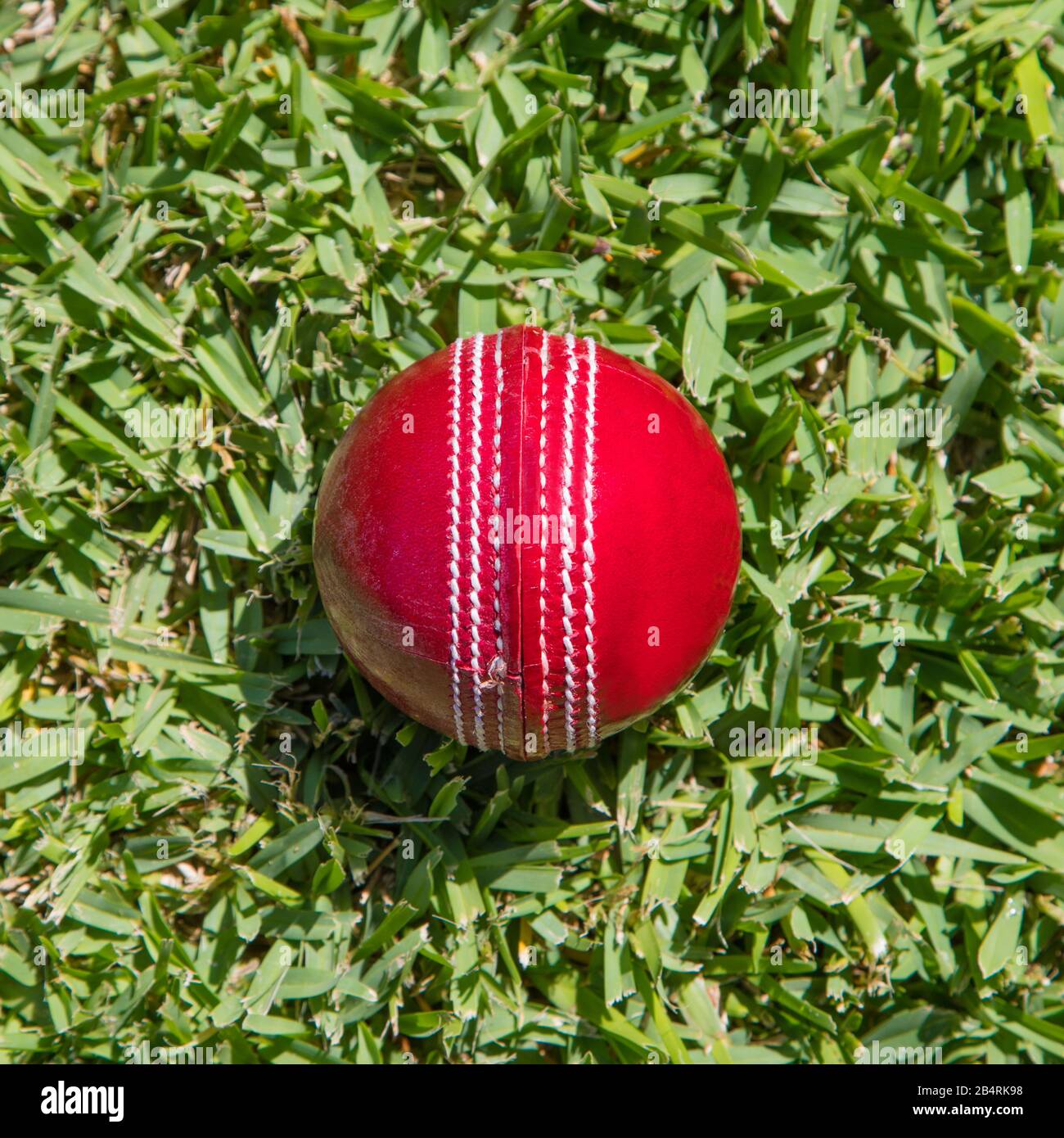 Nahaufnahme des roten Lederballs auf grünem Gras. Cricket ist eine beliebte Sportart in Nationen wie Australien, Indien, Neuseeland, England und South afri Stockfoto