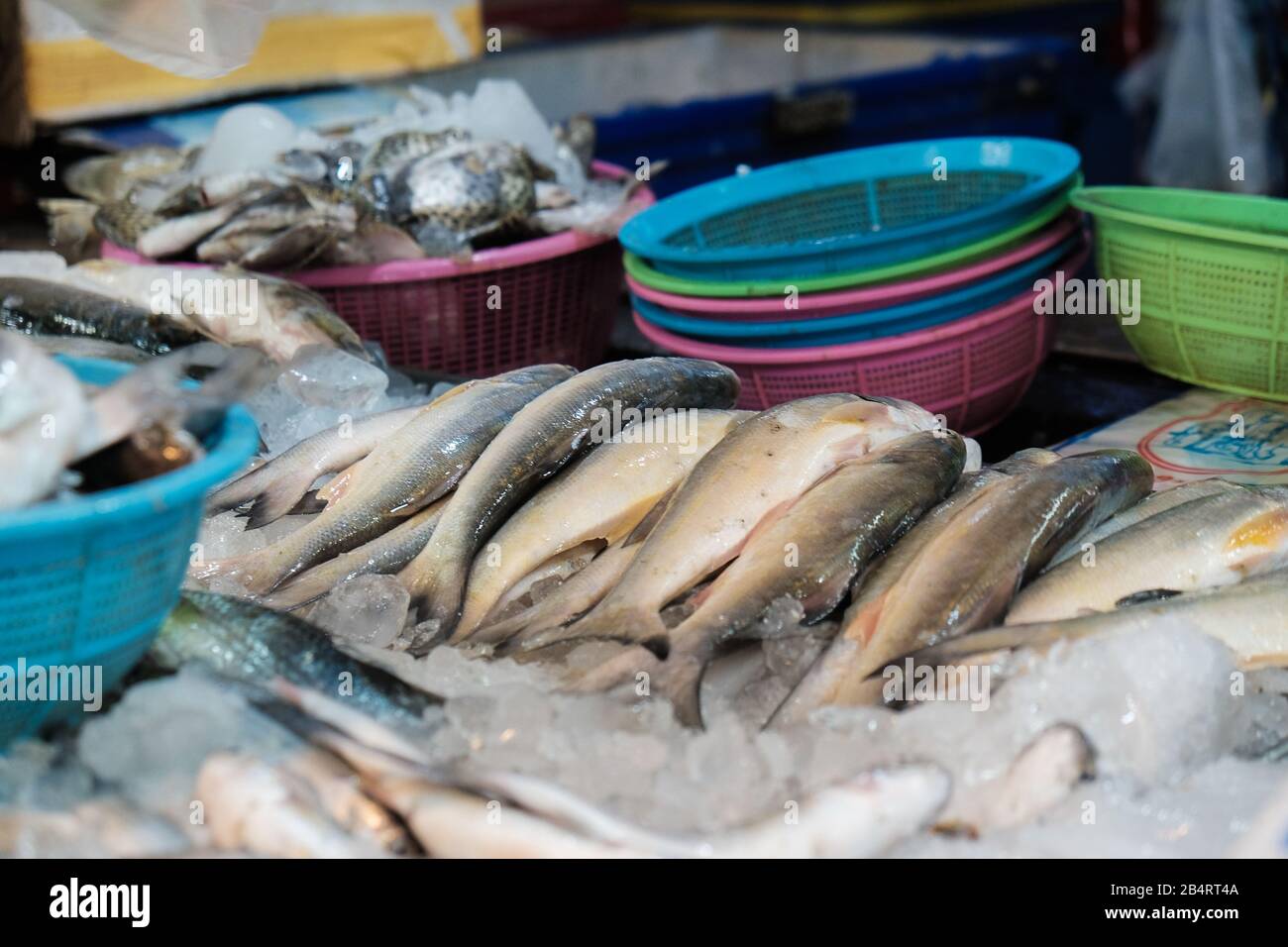 Eine Gruppe von Fischsorten aus dem Meer, die auf dem traditionellen Markt verkauft werden, Fisch und Meeresfrüchte Stockfoto