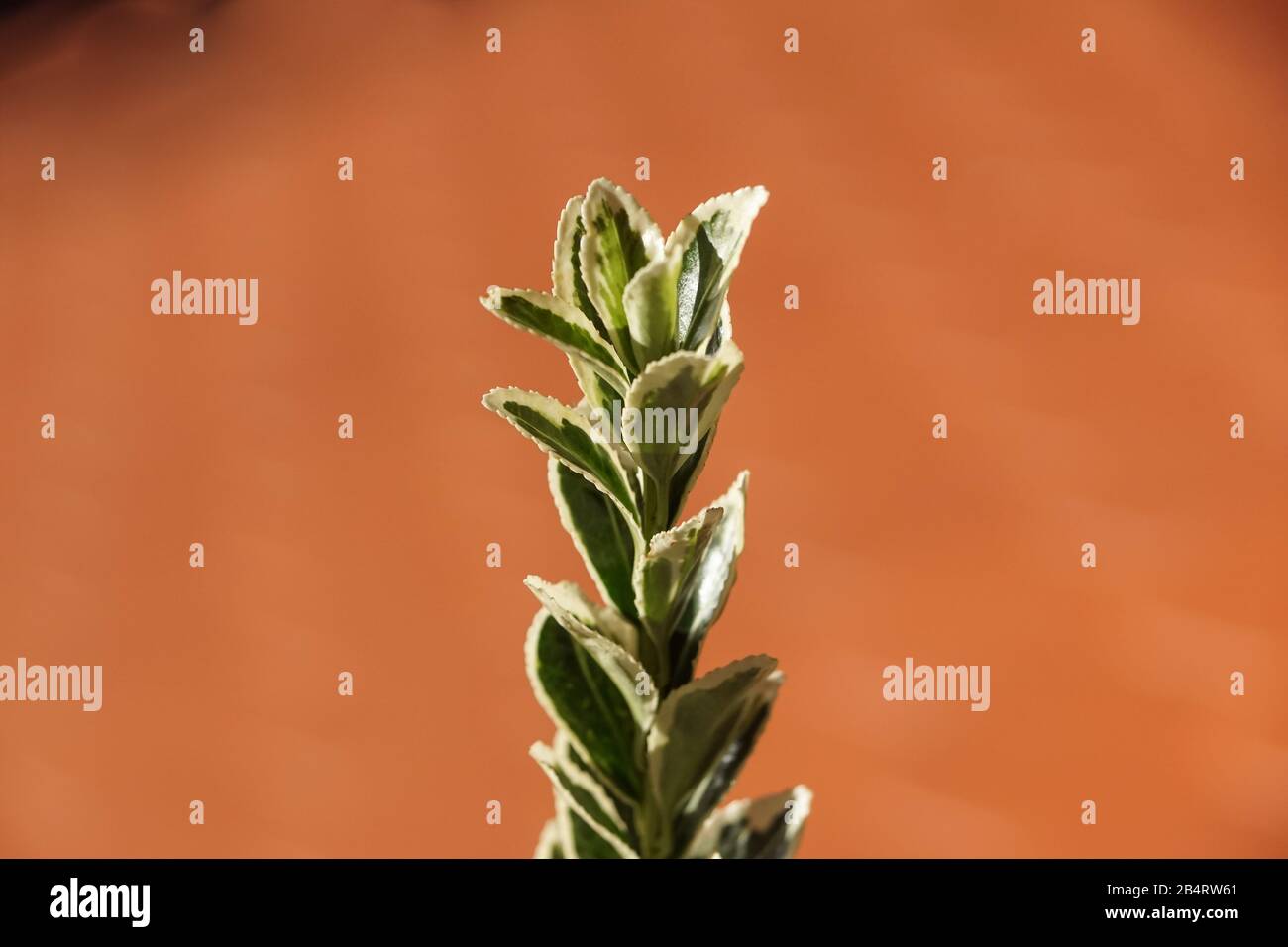 Radpaar aus einem Güterwagen auf Schienen. Radsystem mit Federn. Stockfoto