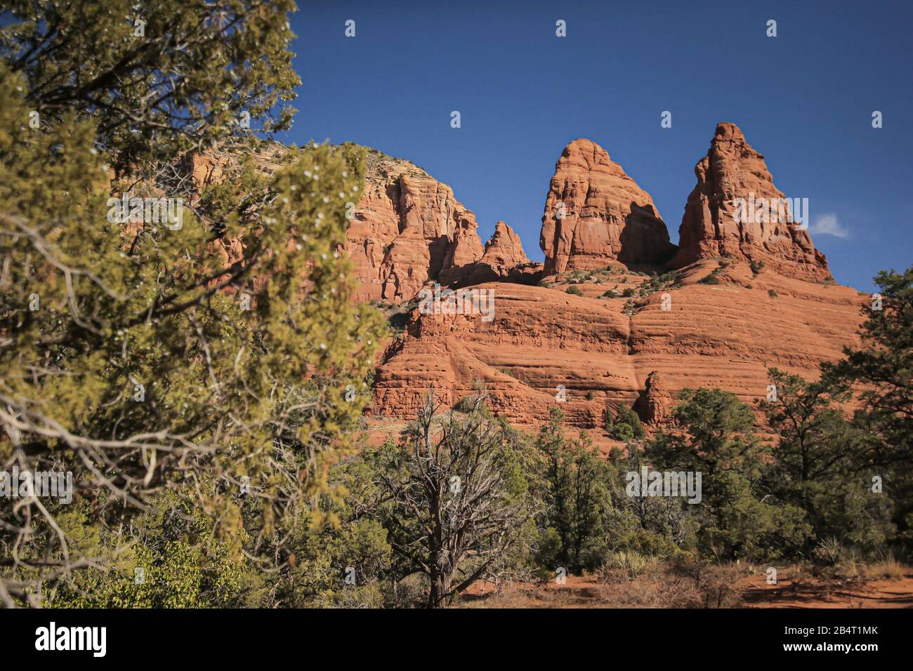 Schöne rote Felslandschaft in Sedona, Arizona, USA Stockfoto