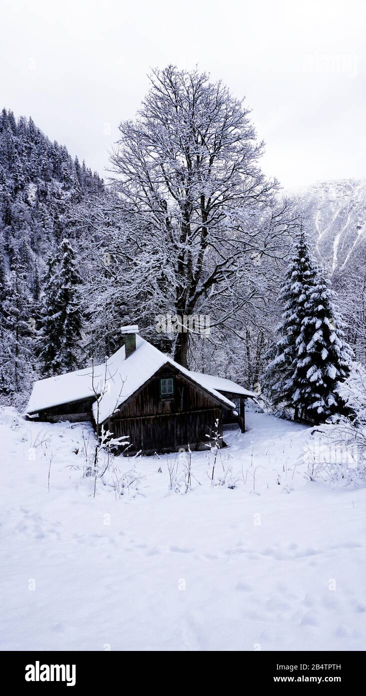 Wanderung epischer Bergtouren Abenteuer im Freien zum alten Salzbergwerk Hallstatt passieren Sie den Kiefernwald und die Winterschnee-Berglandschaft im Freien Stockfoto