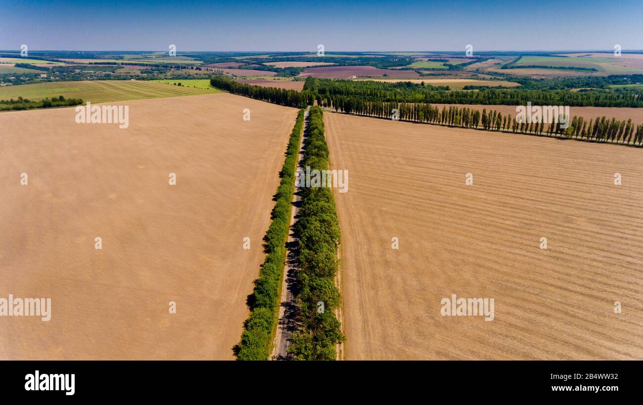 Luftbild der Asphaltstraße durchläuft das Feld. Stockfoto