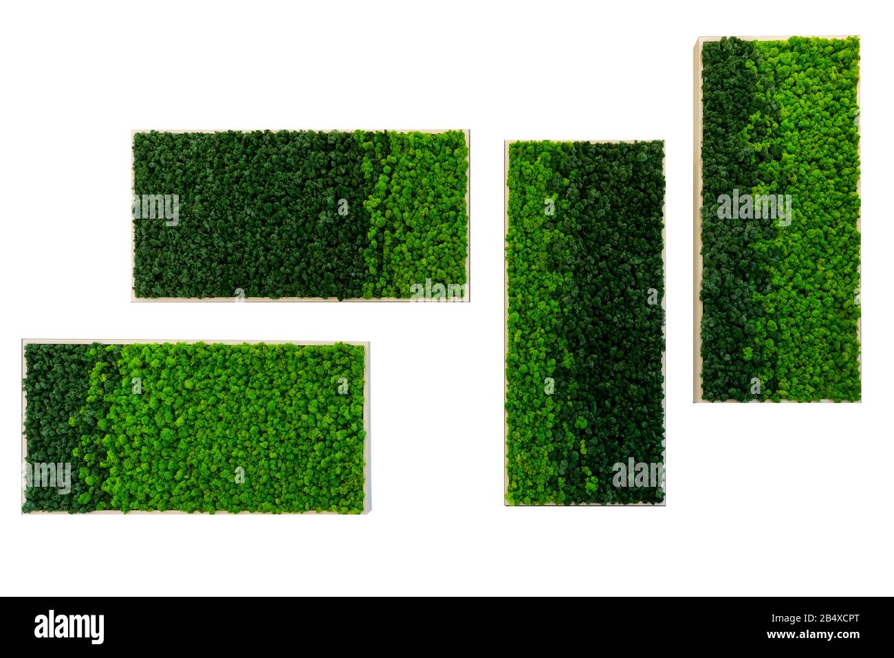 Foto von dekorativen Graswandbohlen, bei denen der Hintergrund entfernt wurde. Es ist eine großartige Idee des Designs, wenn Sie ein bisschen Natur in Ihrem Zimmer begeistern möchten! Stockfoto