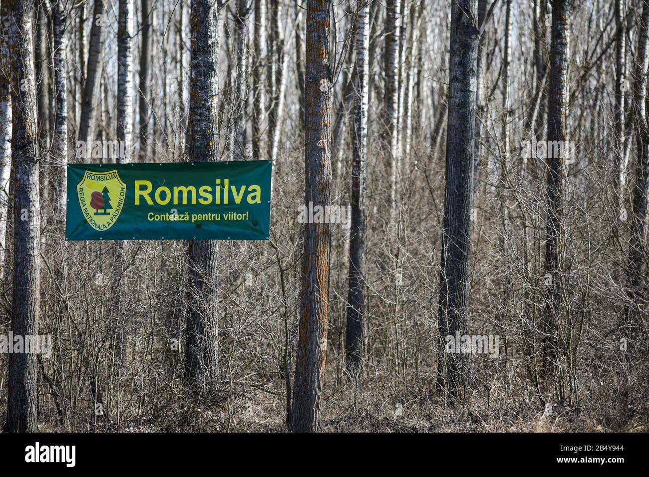 Uliesti, Rumänien - 06. März 2020: Romsilva-Logo in einem Wald (rumänisches Staatsunternehmen, das für den Schutz der Wälder zuständig ist) Stockfoto