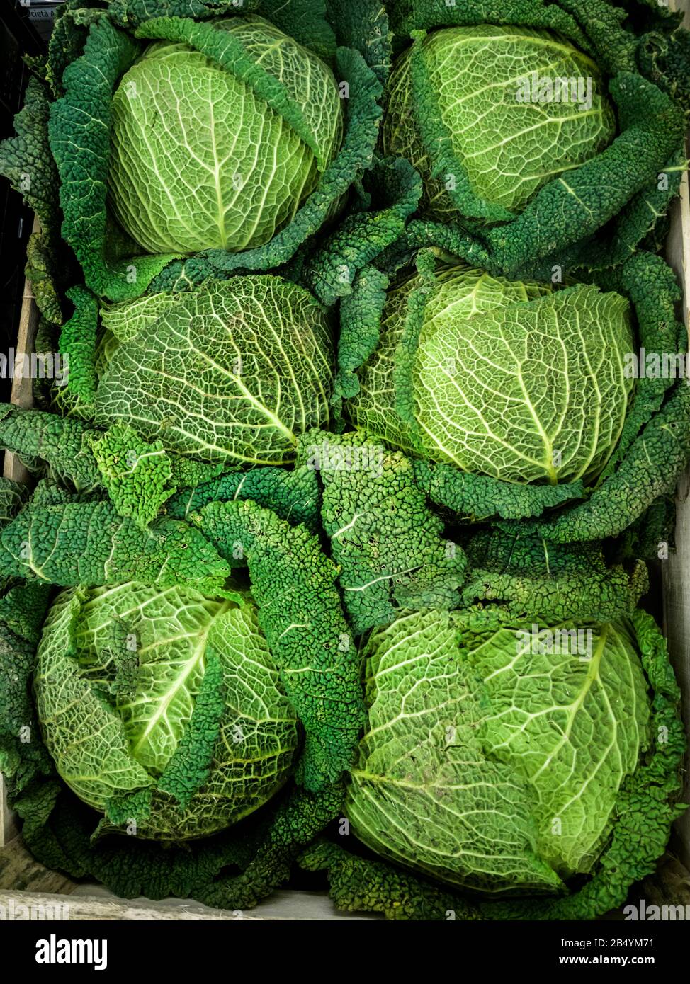 Grunblattrige Gemuse Stockfotos Und Bilder Kaufen Alamy
