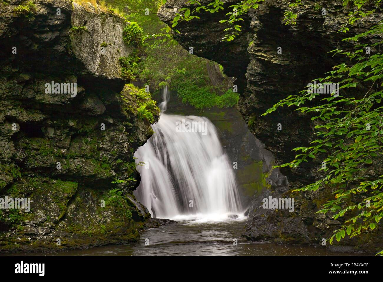 Marshall's Falls am Marshalls Creek in den Pocono Mountains von Pennsylvania durchfließen eine östliche Hemlock-Schlucht. Stockfoto