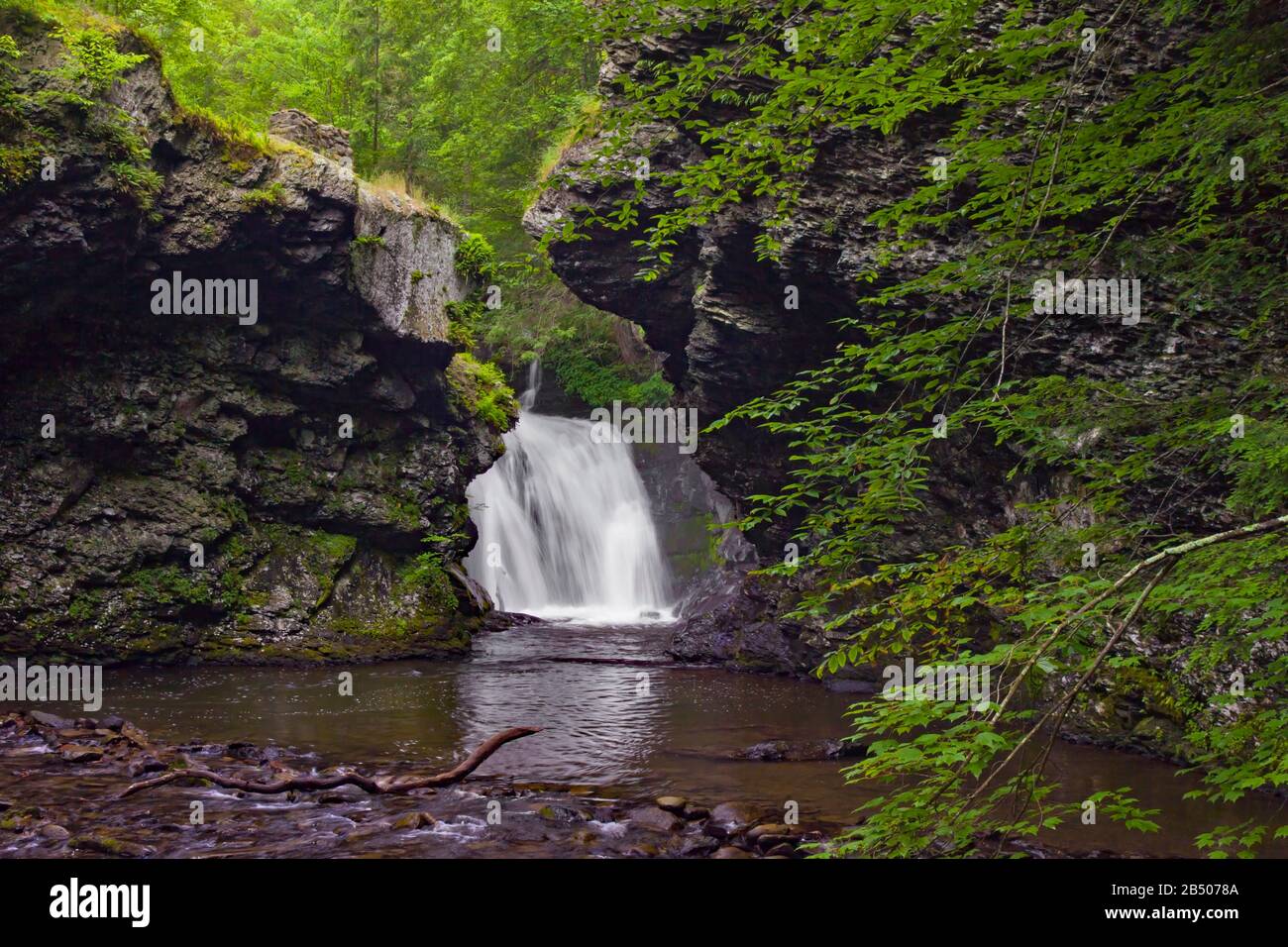 Marshall's Falls am Marshalls Creek in den Pocono Mountains von Pennsylvania durchfließen eine östliche Hemlock-Schlucht. Stockfoto