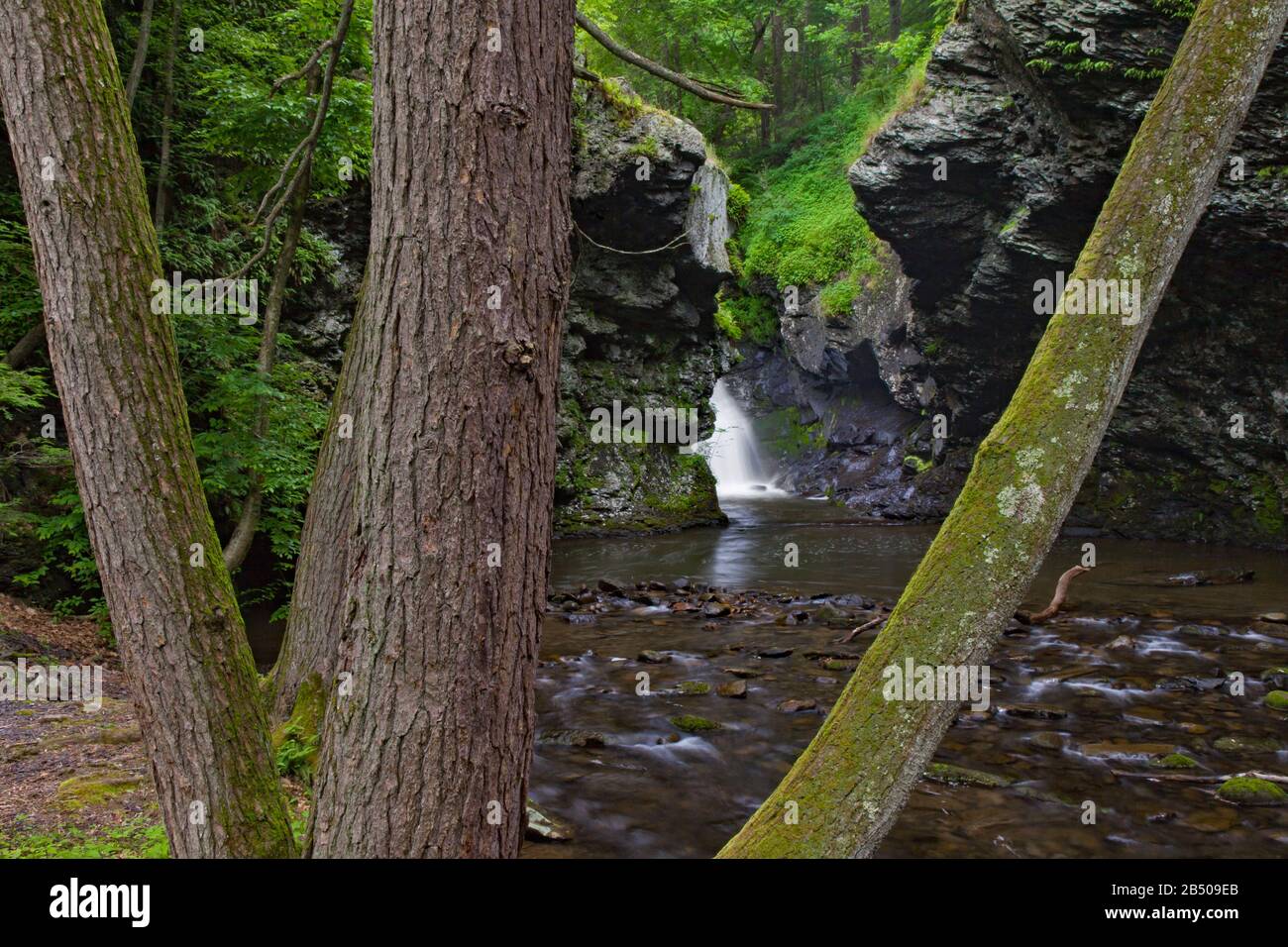 Marshall's Falls am Marshalls Creek in den Pocono Mountains von Pennsylvania durchfließen eine östliche Hemlock-Schlucht. Stockfoto