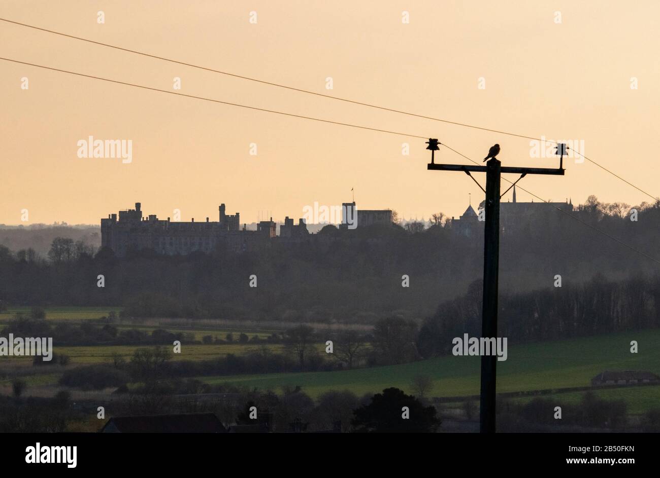 Kestrel Silhouette vor der Burg Arundel Stockfoto