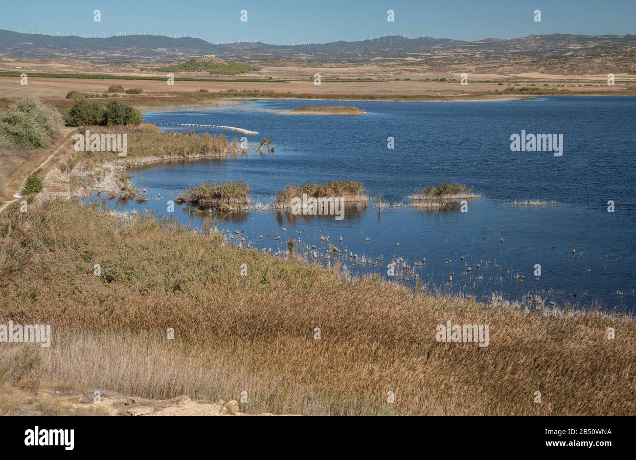 Laguna de Pitillas, ein Naturschutzgebiet südlich von Pamplona, Navarra, Spanien, Stockfoto