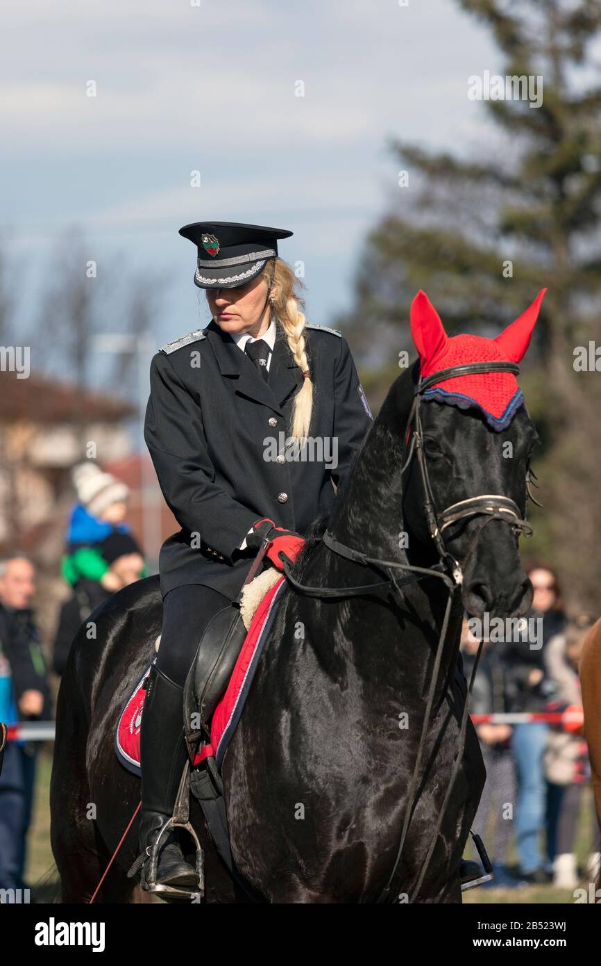 Sofia, Bulgarien - 03. März 2020: Reit-Ostern oder Todor-Tag in Bulgarien, Polizisten, die Pferde im Urlaub fahren. Sprung zu Pferd. Stockfoto